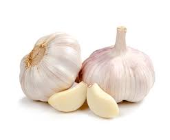 Garlic for organic pest control