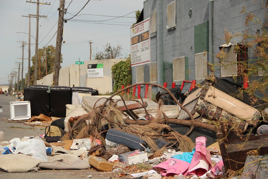 An illegal waste disposal site in oakland ca trees, couches, junk