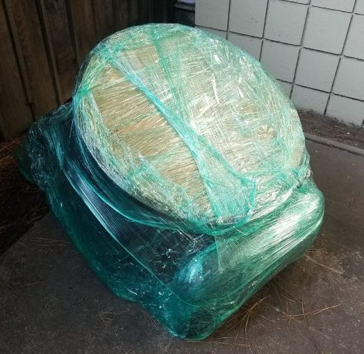 wrap potentially infested furniture in plastic wrap