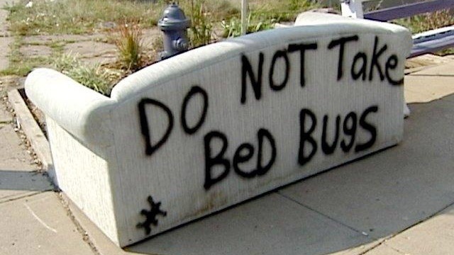 couch reads, do not take infested by bed bugs